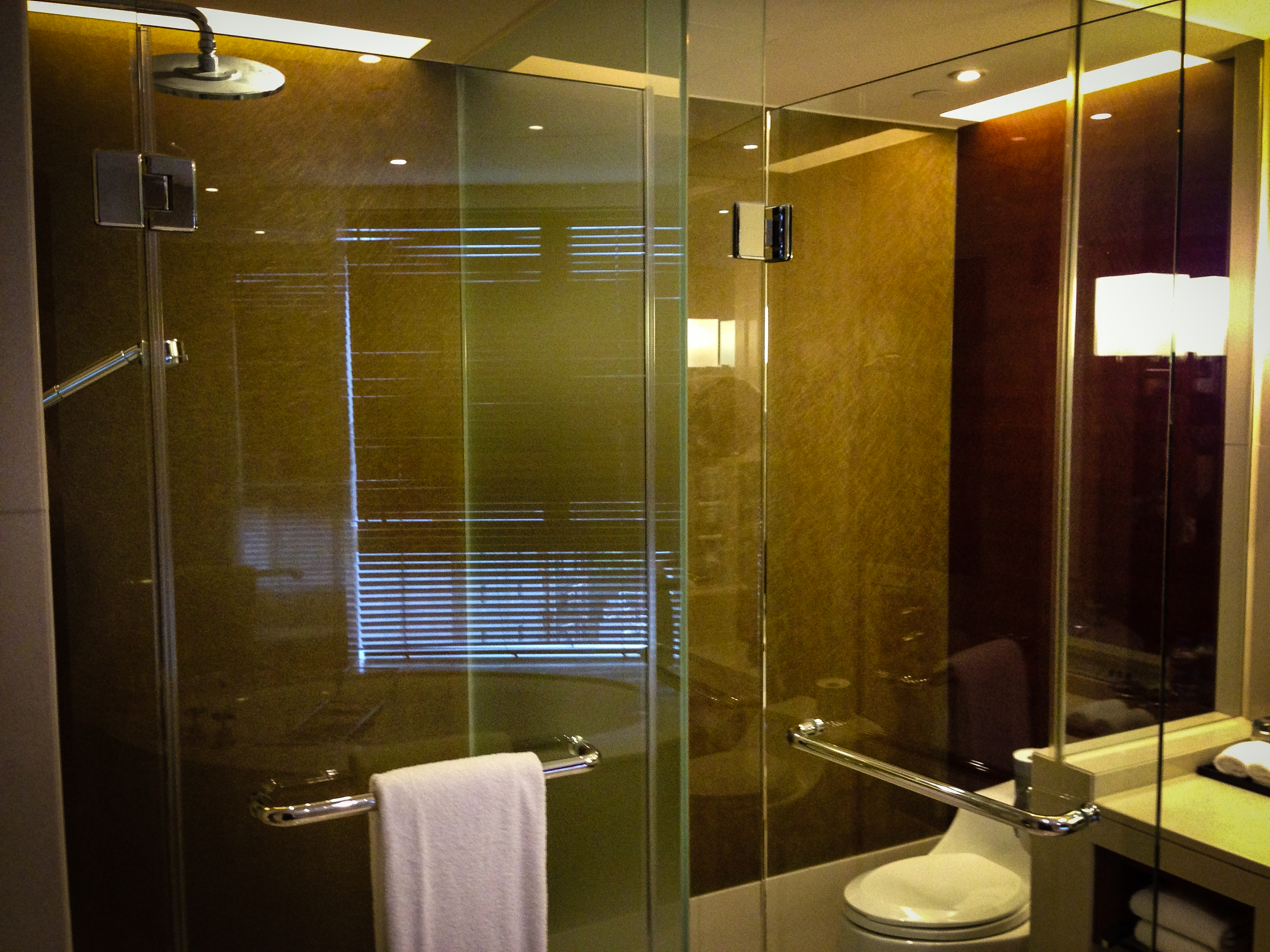 Shower and toilet areas, facing each other but separated by a glass wall...kind of awkard