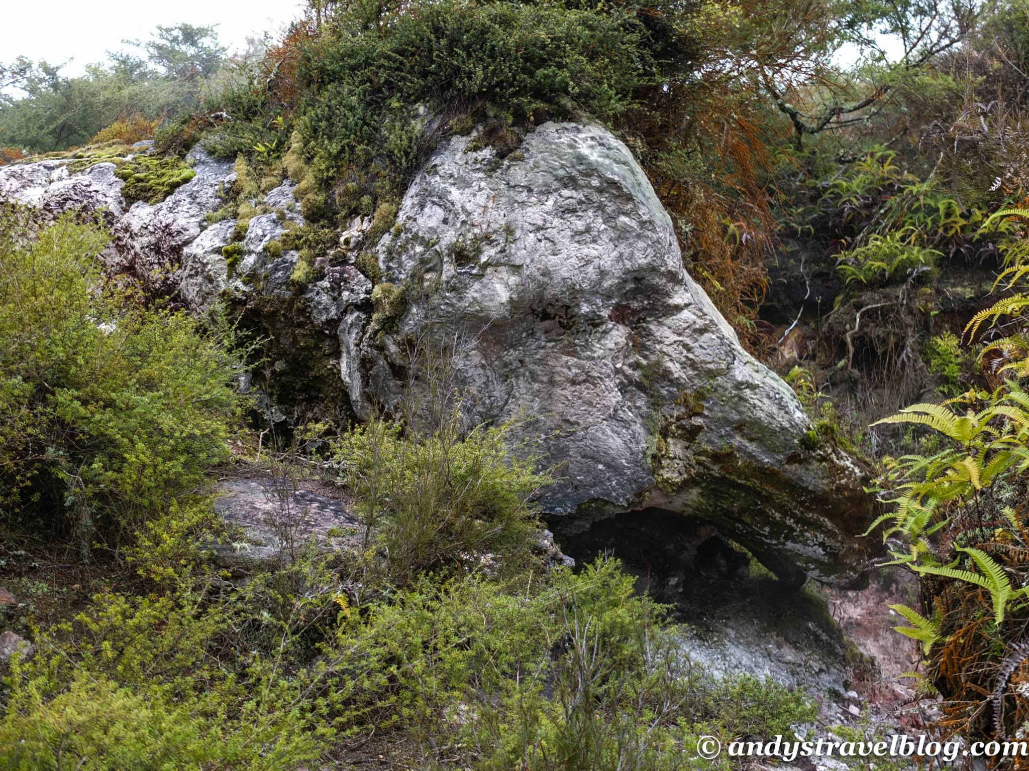 They call this Elephant Rock.  It's an elephant that looks exactly like a rock.
