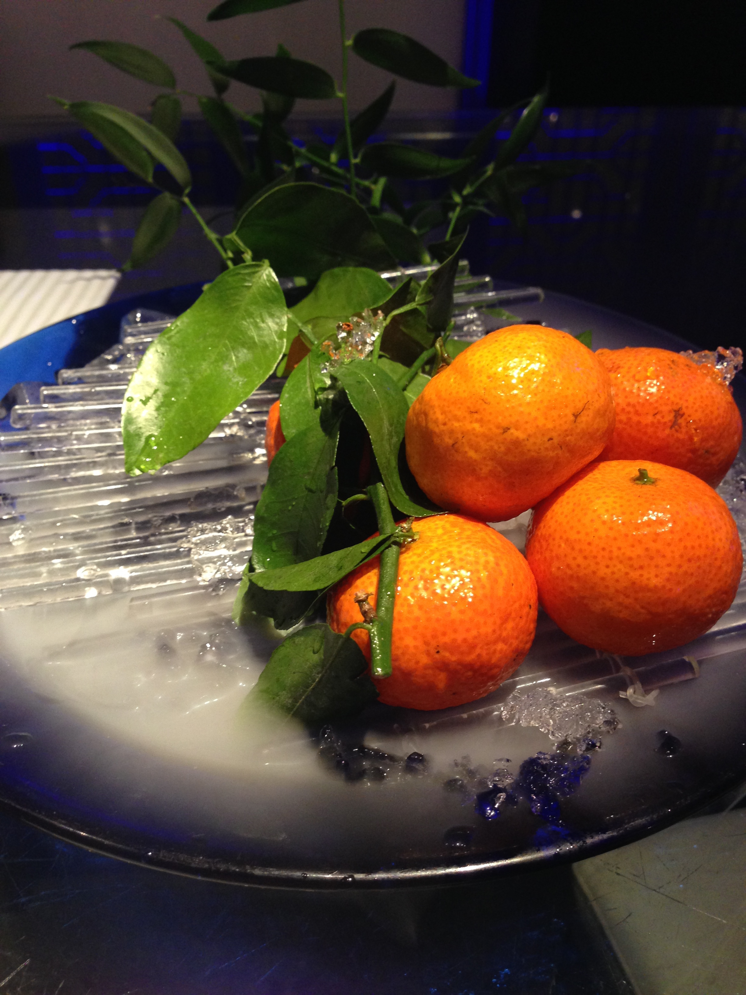 a group of oranges on a plate