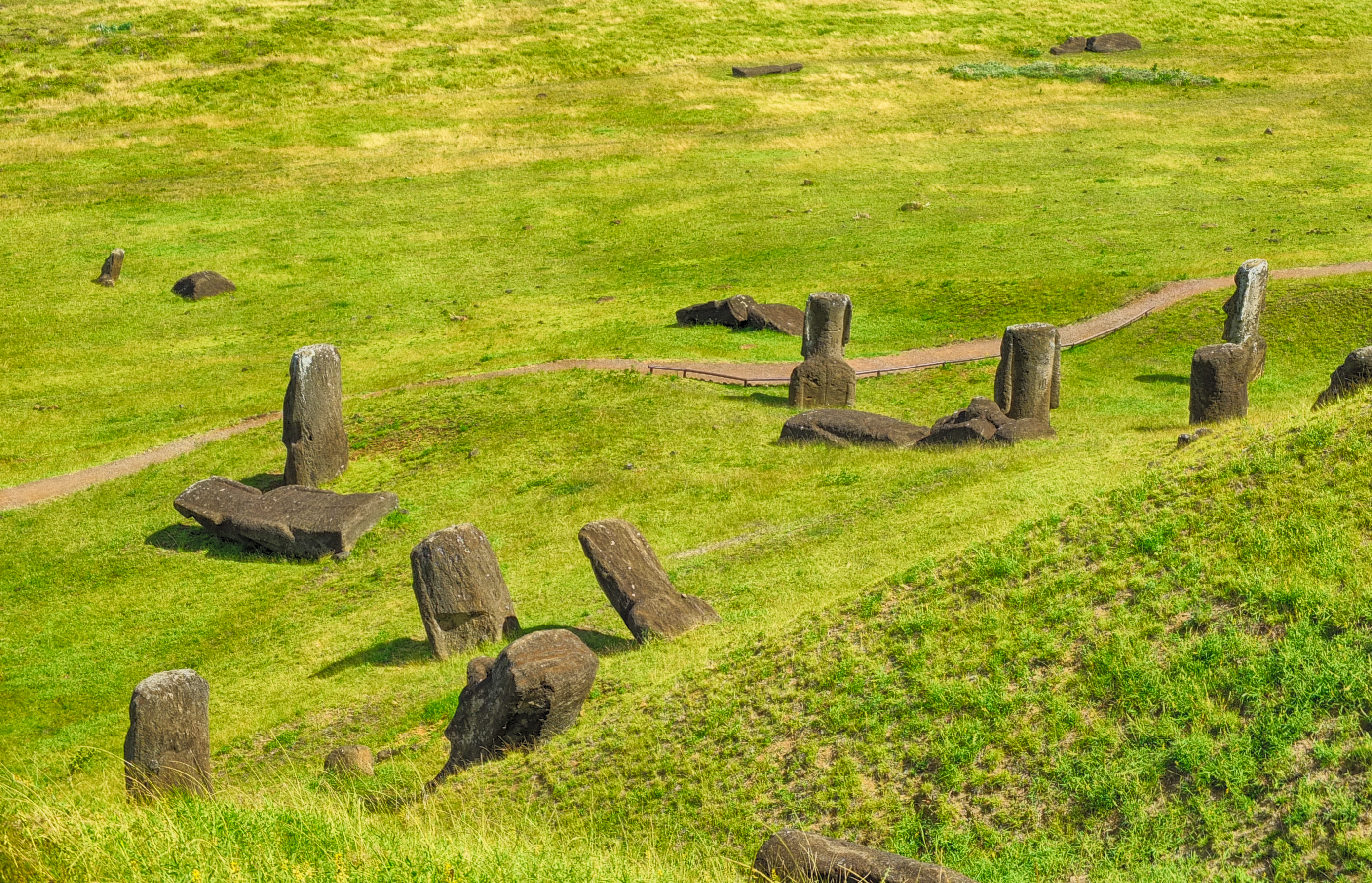 Moai field