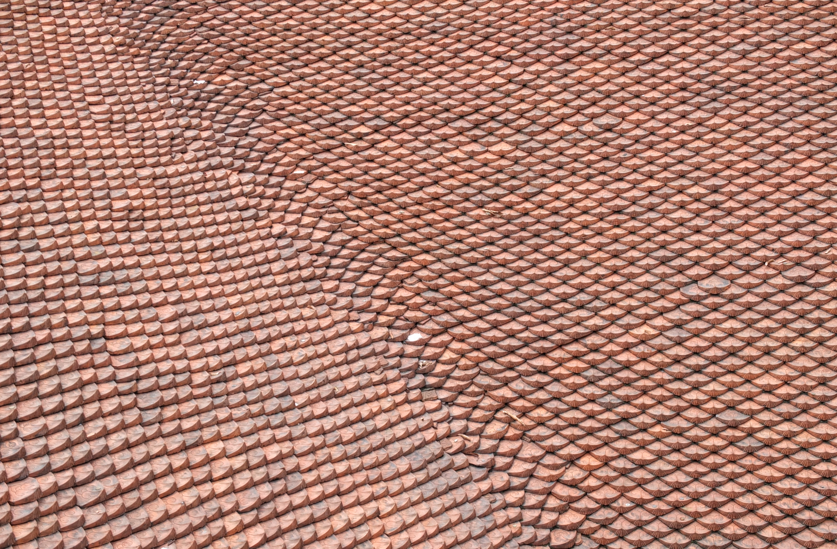 a close up of a roof