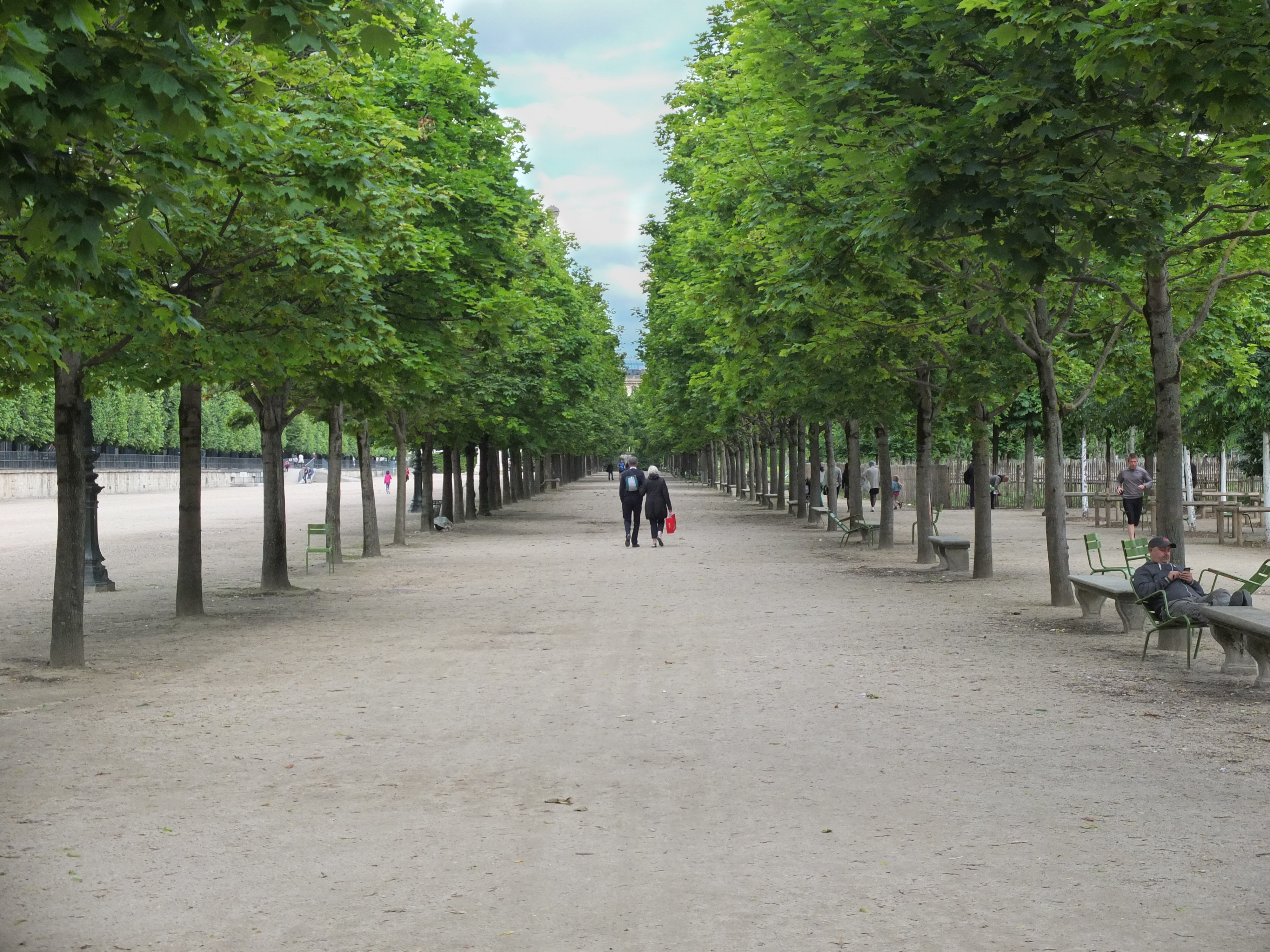 people walking on a path with trees