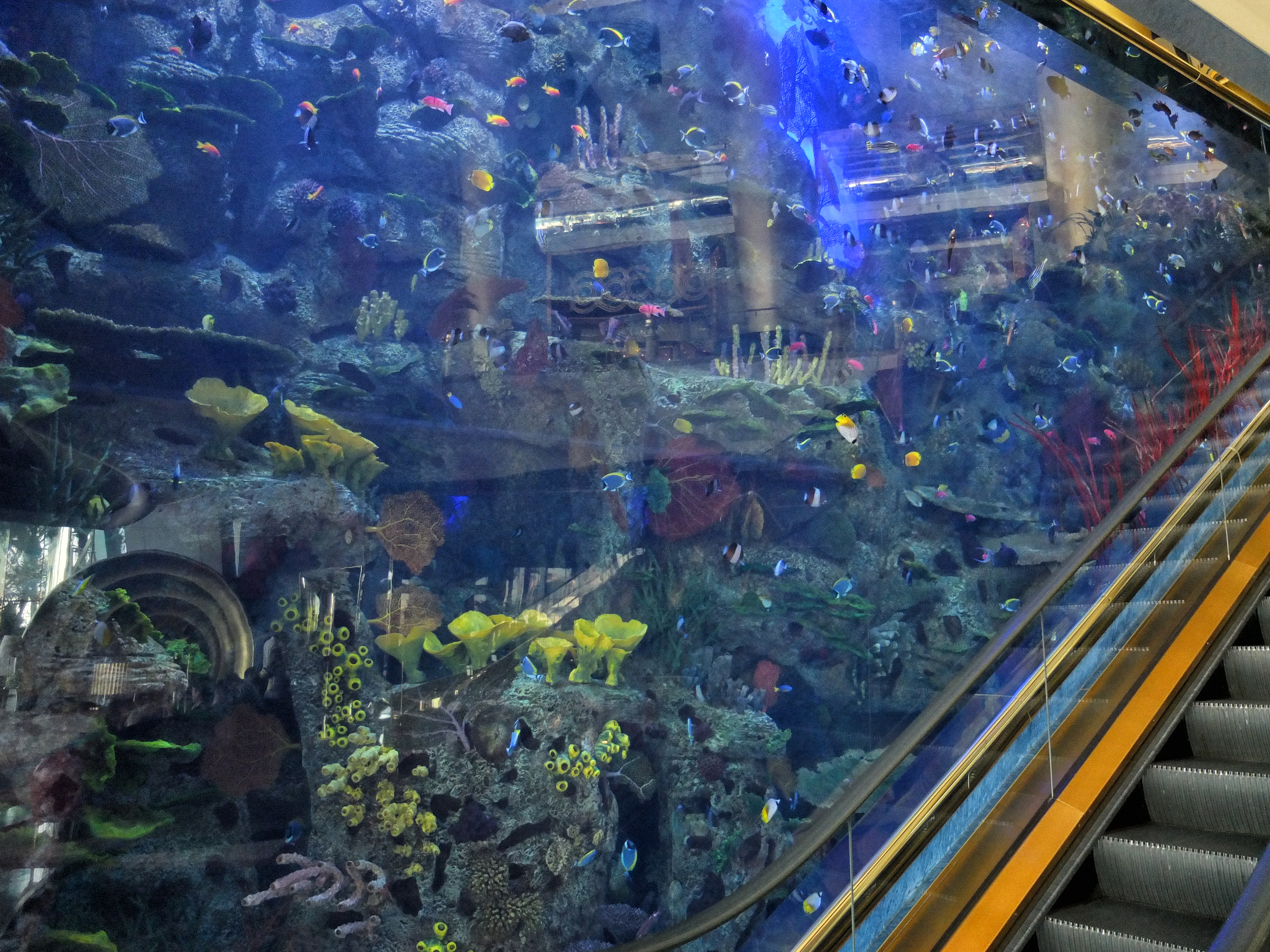 Of COURSE they had an aquarium