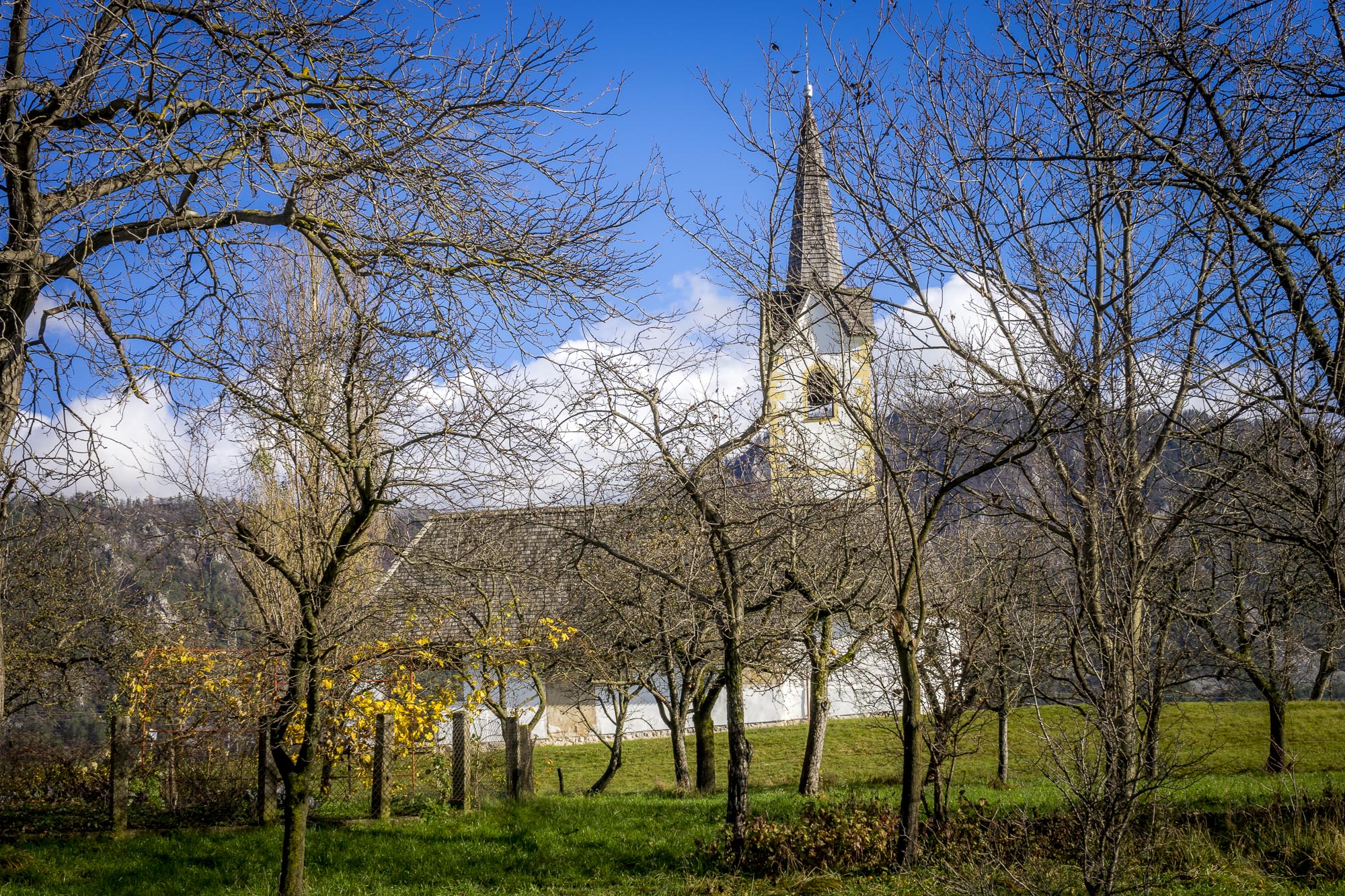 a church with trees in the background
