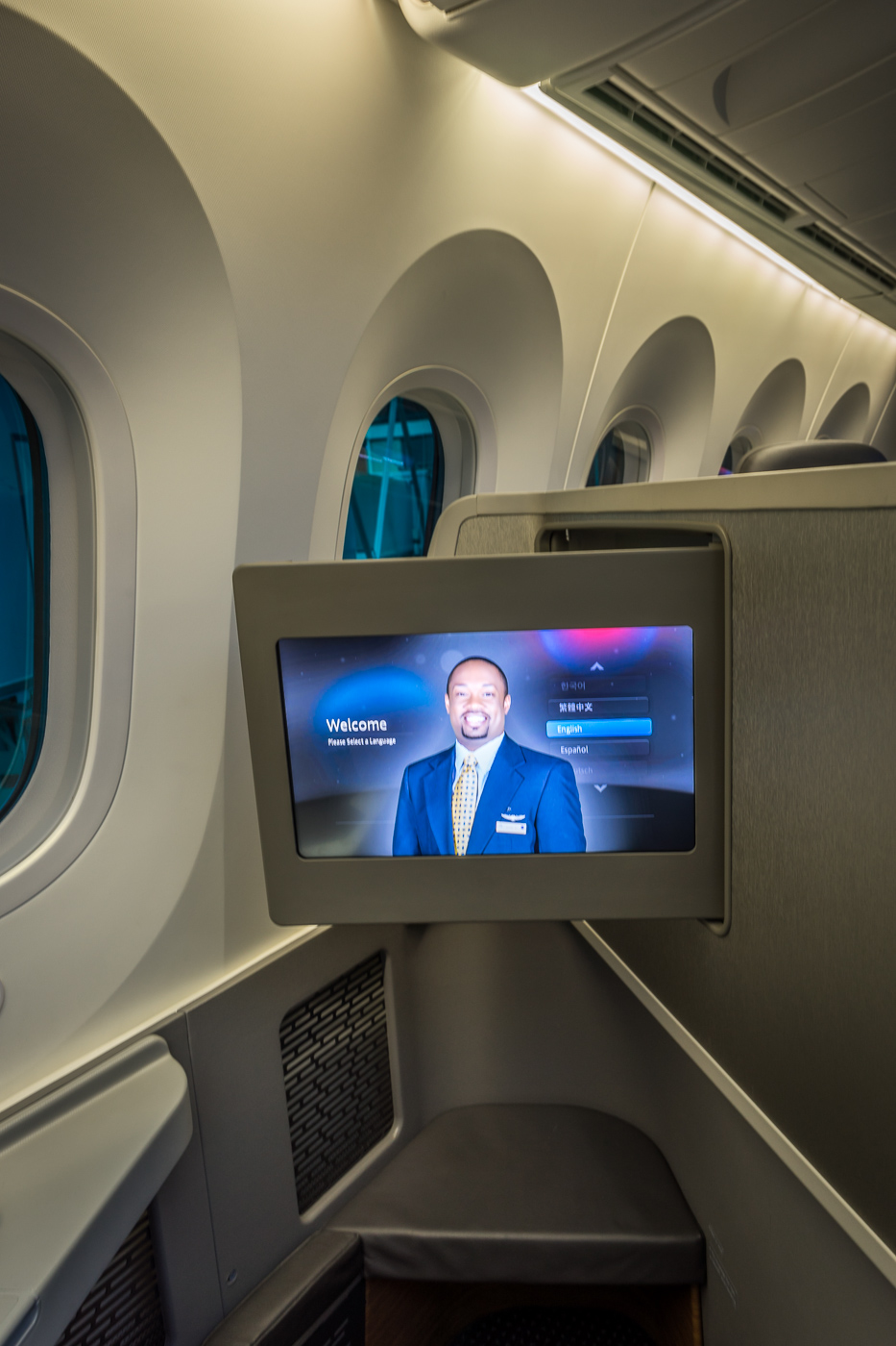 american airlines 787 review