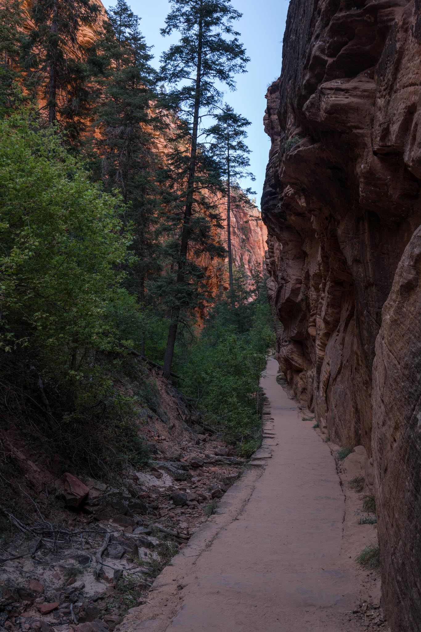 After a while the trail turns away from the main canyon and goes around the back of what ends up being Angel's Landing before the actual altitude increase begins.