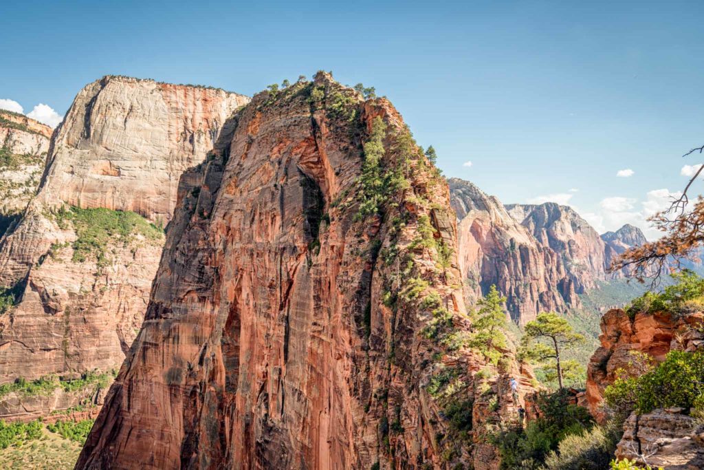 a large rock cliff with trees on it with Zion National Park in the background