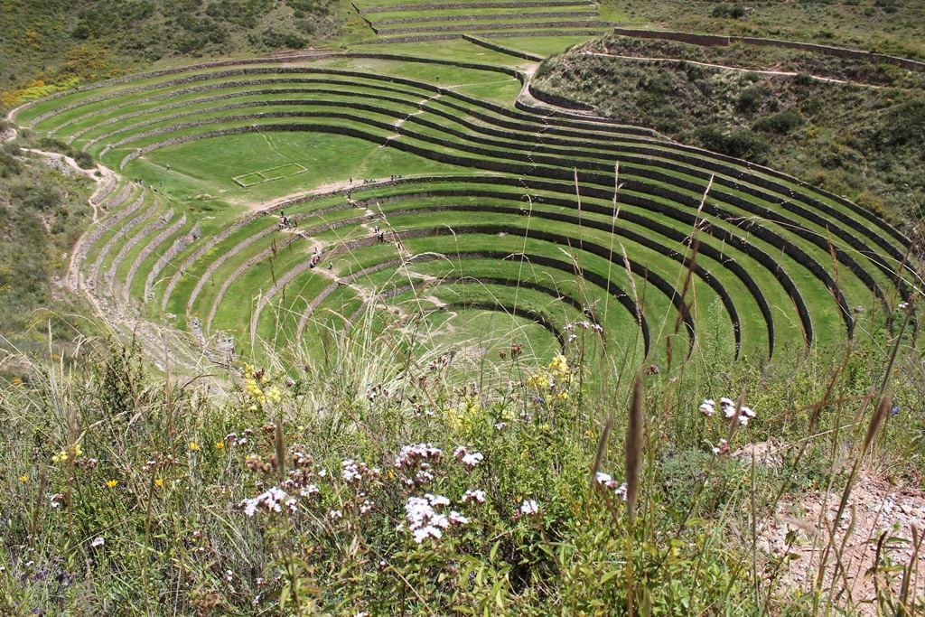 a circular terraces in a field with Moray in the background