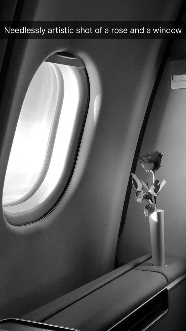 a rose in a vase by a window