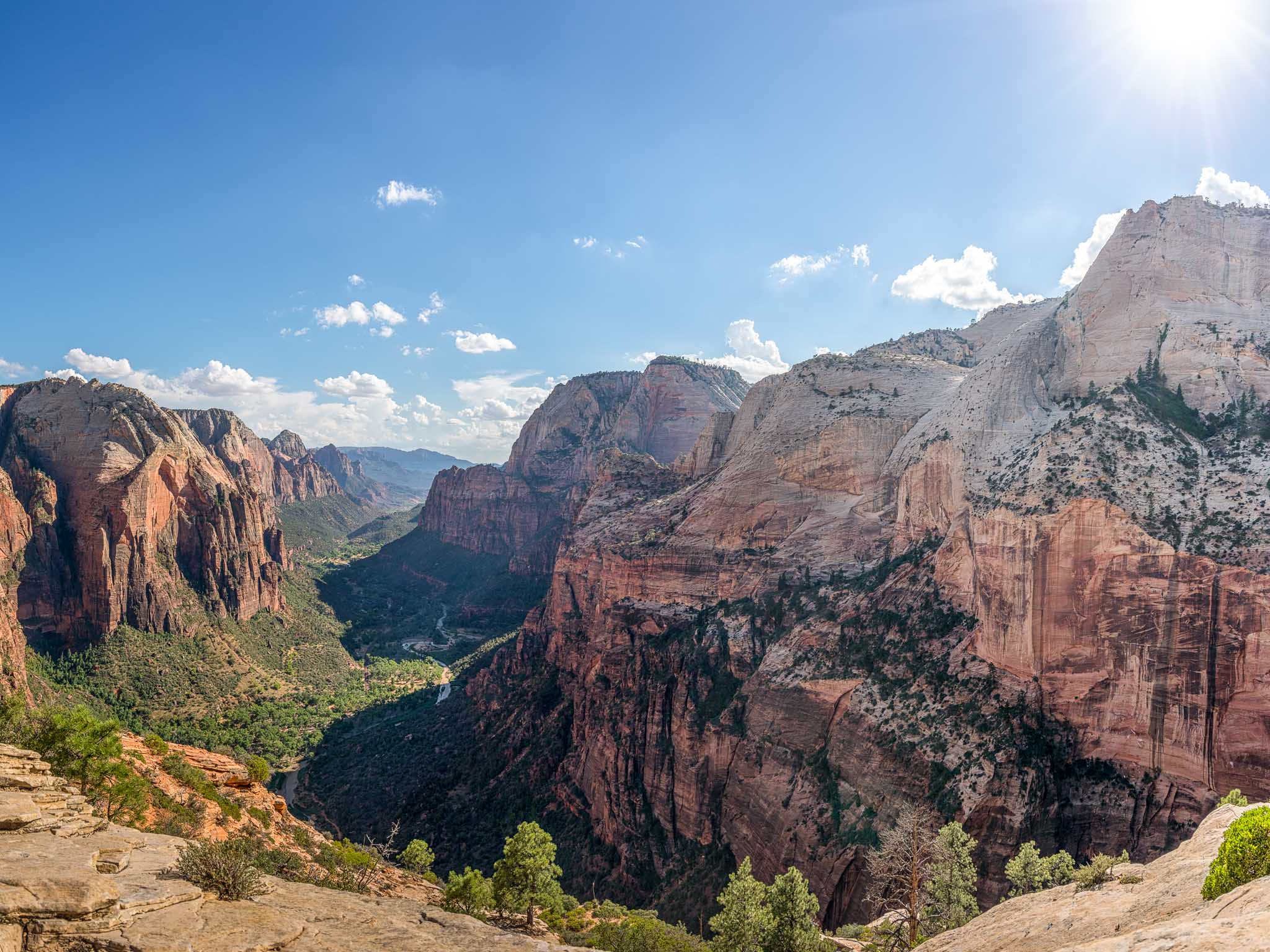 a canyon with trees and a river with Zion National Park in the background