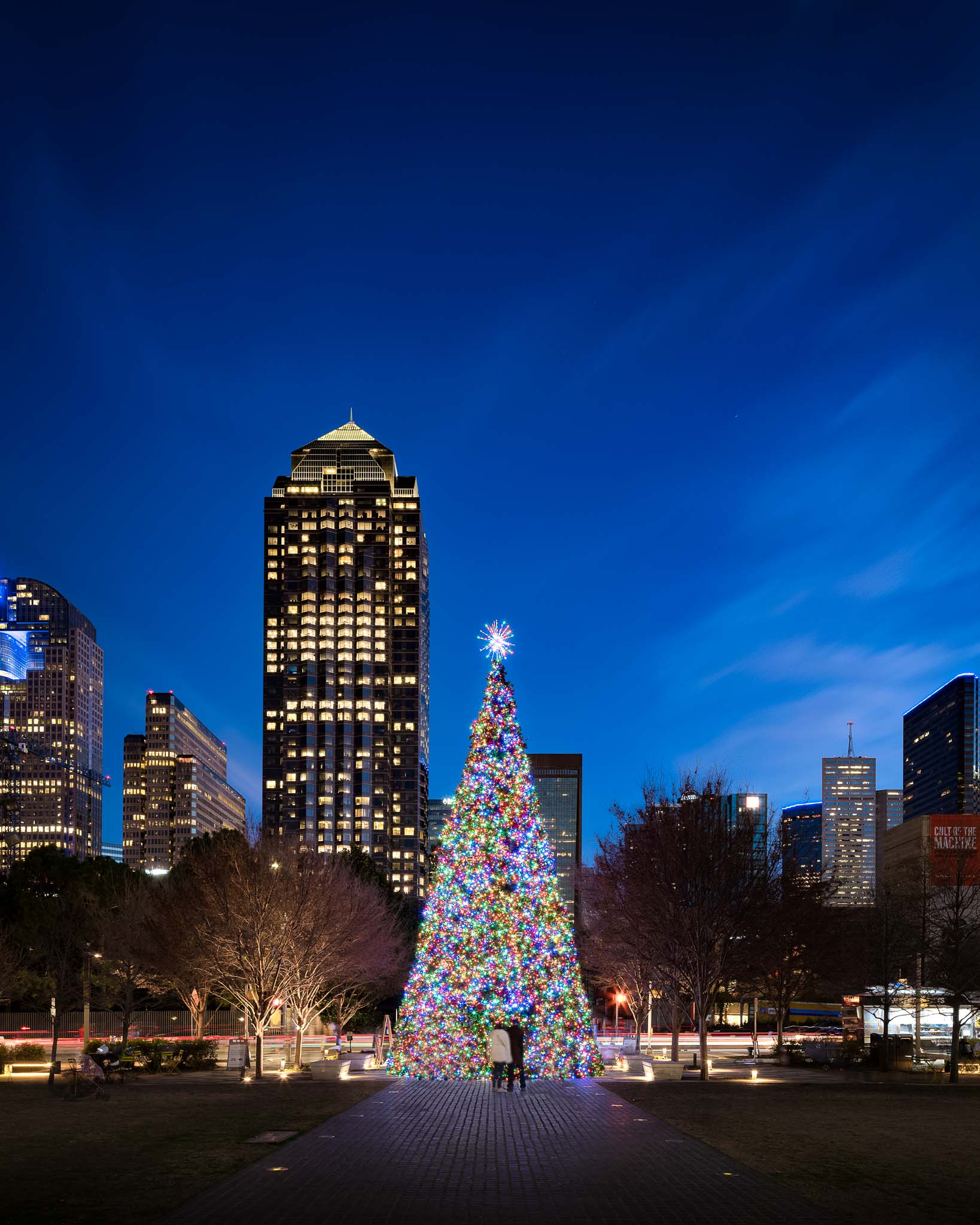a large christmas tree in a city