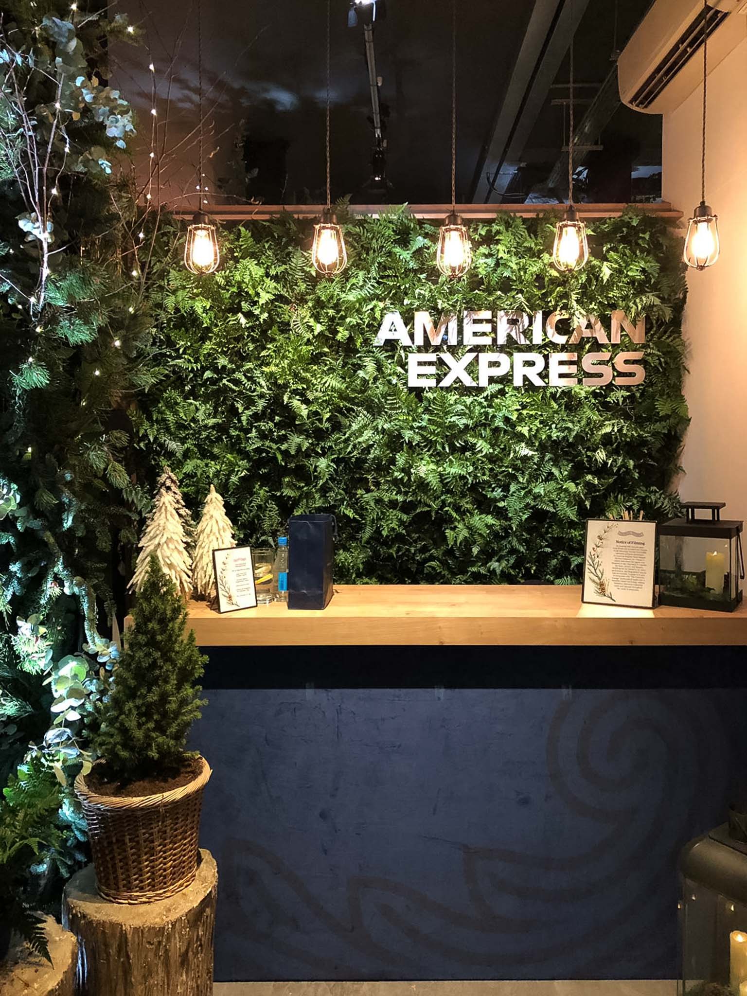 a green wall with a sign and a plant behind it