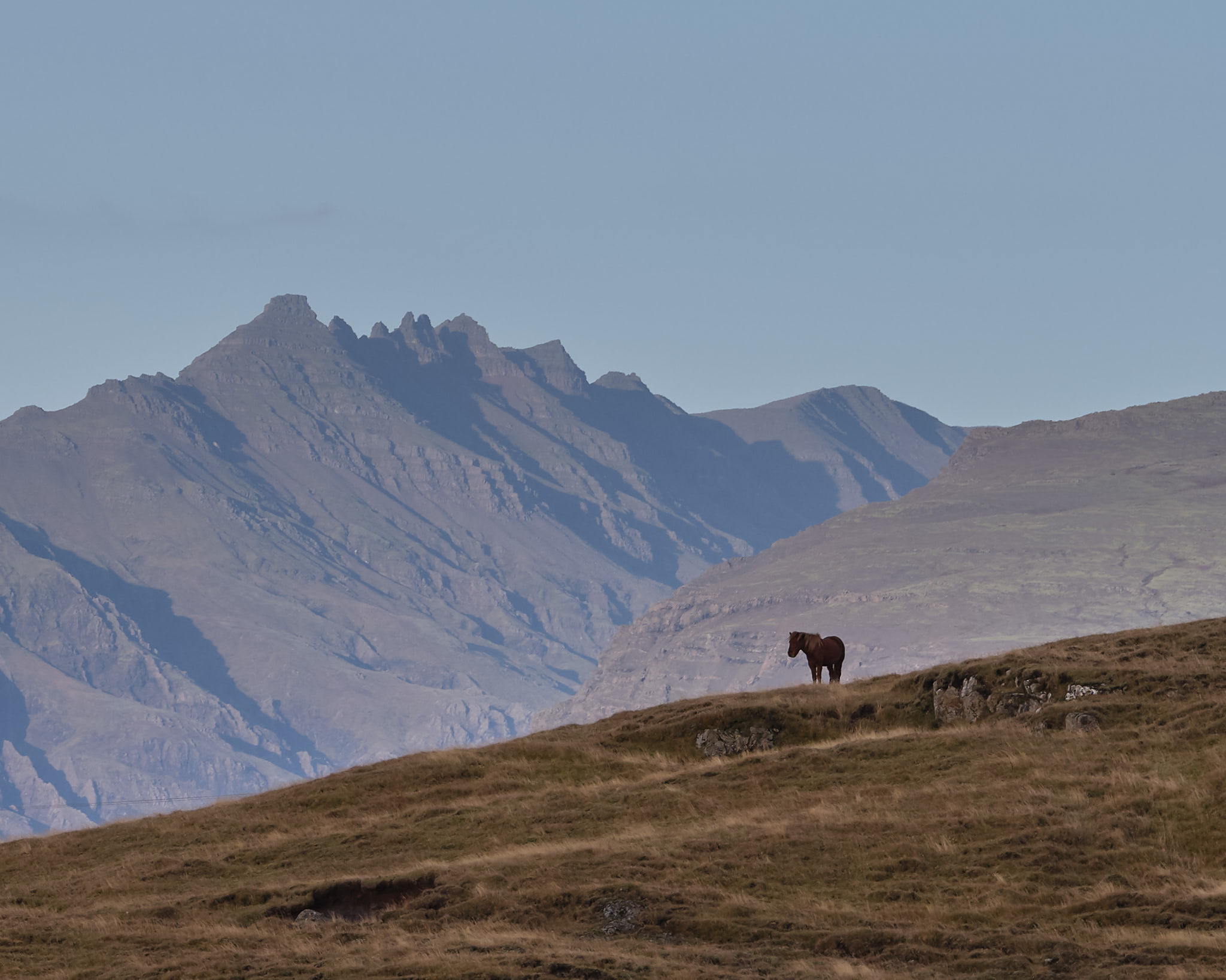 a horse standing on a hill with mountains in the background