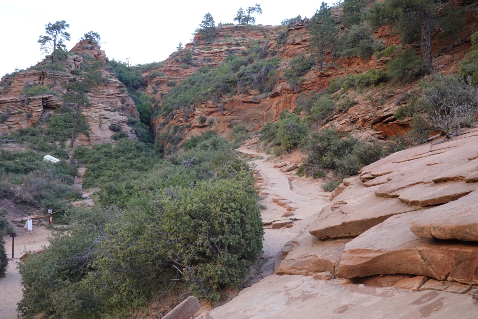 a trail through a rocky canyon with Slide Rock State Park in the background