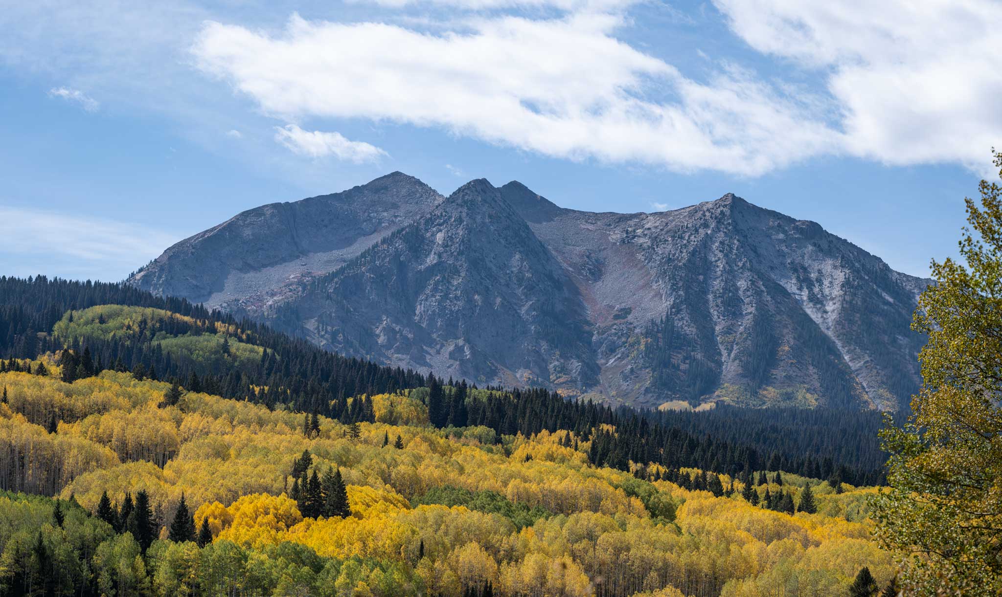 a mountain range with trees and yellow leaves